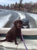 Boat1.jpg