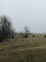 IMG_9832.jpg