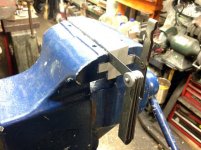 ReedJaws_5723.jpg