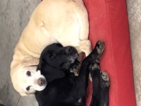 CA07845B-408C-48AA-A38F-09CD7C5CF6B1.jpeg