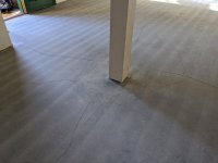 IMG_20200809_155734.jpg