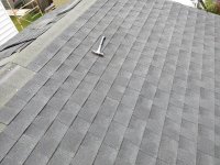 20200801_152837.jpg