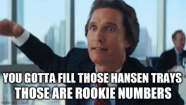 bumpnumbers.jpg