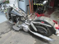 IMG_4386.jpg