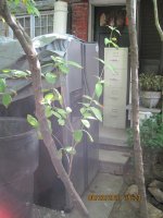 IMG_3510.JPG