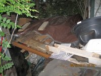 IMG_3511.JPG