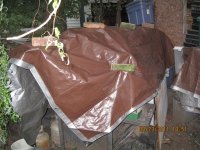 IMG_3515.JPG