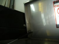 hammerhead 007.JPG