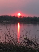 IMG_9767.JPG