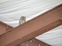 IMG_4779D.jpg