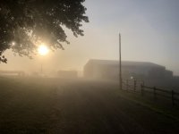 IMG_1850.jpg