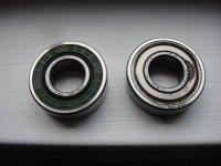 DSC04966.jpg