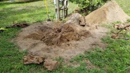 3971-Tree-Stump-08.jpg