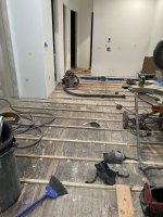 IMG_9262.jpg