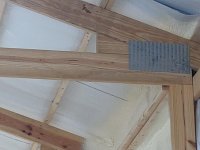 IMG_20200718_142157.jpg