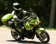 Tiger955-Dragon-8by10.JPG