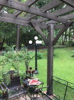image0 (18).jpg