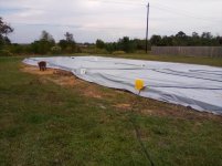 IMG_20201019_160430.jpg