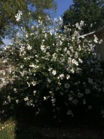 IMG_0628.JPG