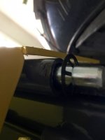 IMG_5197.jpeg