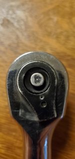 20200805_202957.jpg