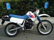 DSC00206_ss1.jpg