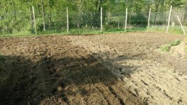 IMG_20200524_082624189.jpg