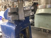 ReedJaws_5833.jpg