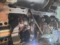 rear main.jpg