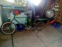 IMG_20200503_134804.jpg