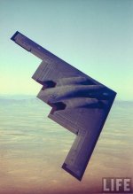 B2.jpg