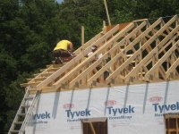 IMG_5347 (Medium).jpg IMG_5347 (Medium).jpg