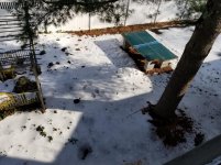 20201222_115358.jpg