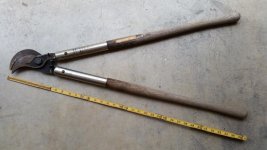 CoronaH29-1.jpg