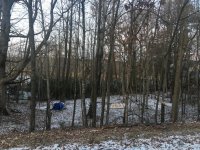 IMG_0824.jpg