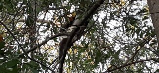 20201003_183118.jpg