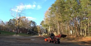 Pulling trees.jpg