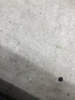 535AB35D-AABD-4867-990A-AC062AF7CEF2.jpg