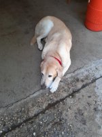 20200728_132949.jpg
