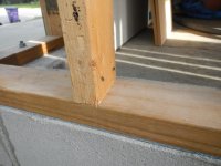 DSCN6156.jpg