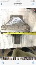 6 Inch jaws with tape .jpg