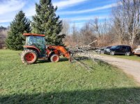 14Nov20 Tree drop B.jpg