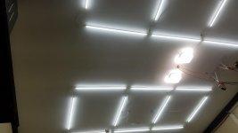 lights2.jpg