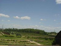 DSC04133.JPG