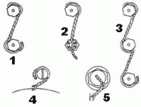 swpatterns1.gif