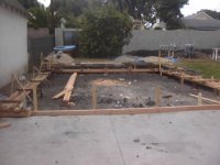 Picture 913.jpg