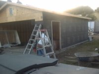 Picture 1172.jpg