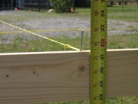 IMG_4802s.jpg IMG_4802s.jpg