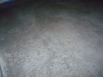 clearcoat6days1.jpg