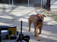 100_0071.jpg